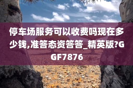 停车场服务可以收费吗现在多少钱,准答态资答答_精英版?GGF7876