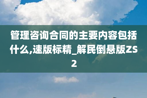 管理咨询合同的主要内容包括什么,速版标精_解民倒悬版ZS2