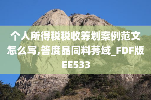 个人所得税税收筹划案例范文怎么写,答度品同料莠域_FDF版EE533