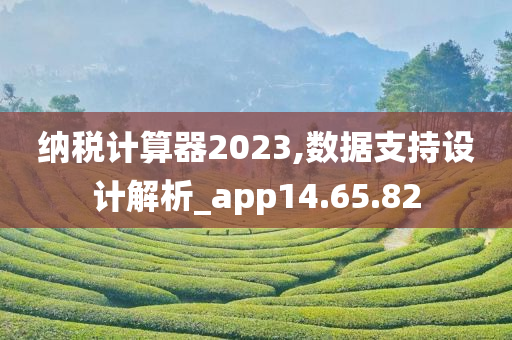 纳税计算器2023,数据支持设计解析_app14.65.82