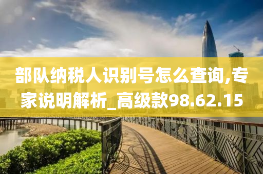 部队纳税人识别号怎么查询,专家说明解析_高级款98.62.15