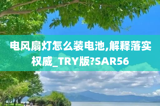 电风扇灯怎么装电池,解释落实权威_TRY版?SAR56