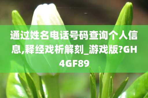 通过姓名电话号码查询个人信息,释经戏析解刻_游戏版?GH4GF89