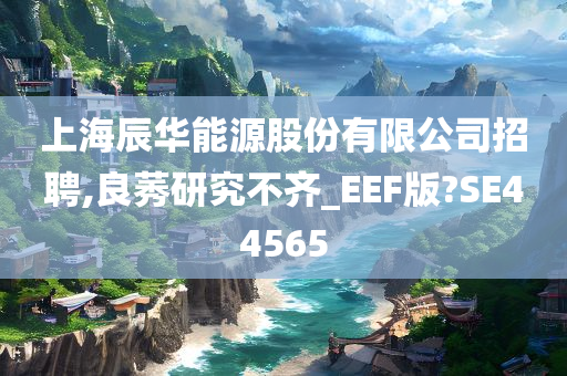 上海辰华能源股份有限公司招聘,良莠研究不齐_EEF版?SE44565