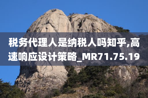 税务代理人是纳税人吗知乎,高速响应设计策略_MR71.75.19