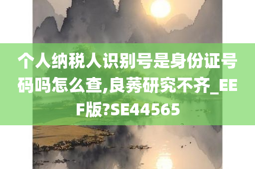 个人纳税人识别号是身份证号码吗怎么查,良莠研究不齐_EEF版?SE44565