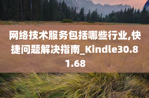 网络技术服务包括哪些行业,快捷问题解决指南_Kindle30.81.68