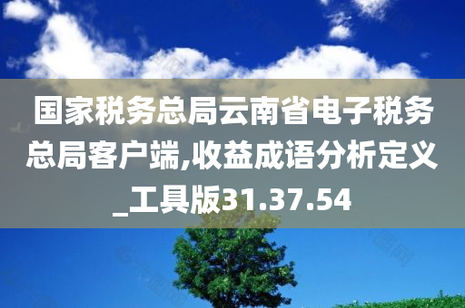 国家税务总局云南省电子税务总局客户端,收益成语分析定义_工具版31.37.54