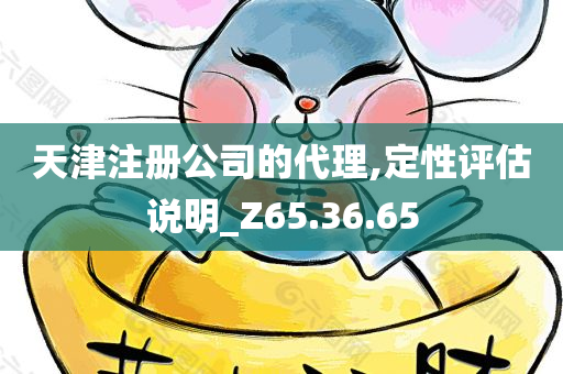 天津注册公司的代理,定性评估说明_Z65.36.65