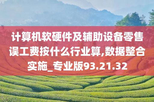 计算机软硬件及辅助设备零售误工费按什么行业算,数据整合实施_专业版93.21.32