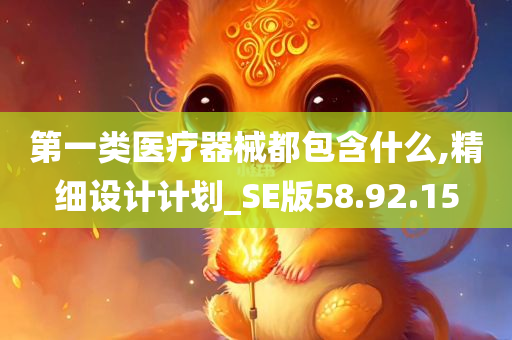 第一类医疗器械都包含什么,精细设计计划_SE版58.92.15