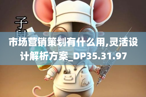 市场营销策划有什么用,灵活设计解析方案_DP35.31.97