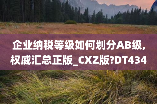 企业纳税等级如何划分AB级,权威汇总正版_CXZ版?DT434