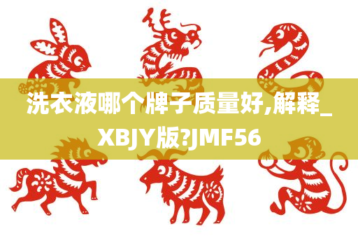 洗衣液哪个牌子质量好,解释_XBJY版?JMF56