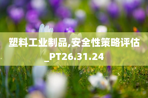 塑料工业制品,安全性策略评估_PT26.31.24