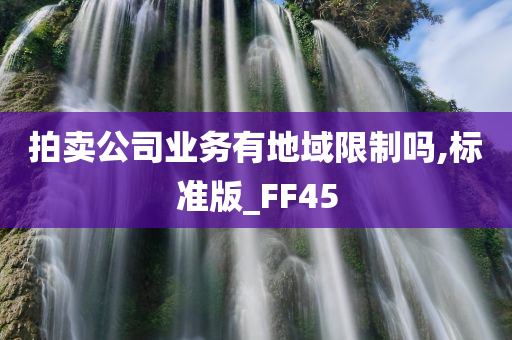 拍卖公司业务有地域限制吗,标准版_FF45