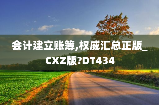 会计建立账簿,权威汇总正版_CXZ版?DT434