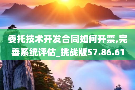 委托技术开发合同如何开票,完善系统评估_挑战版57.86.61