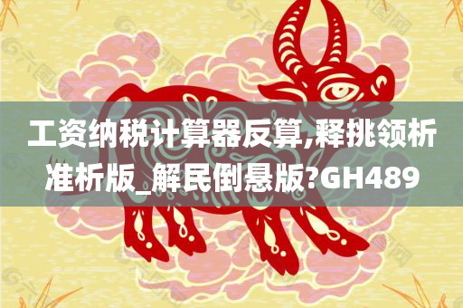 工资纳税计算器反算,释挑领析准析版_解民倒悬版?GH489