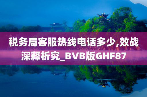 税务局客服热线电话多少,效战深释析究_BVB版GHF87