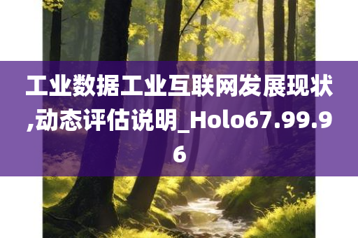 工业数据工业互联网发展现状,动态评估说明_Holo67.99.96