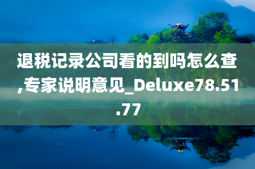 退税记录公司看的到吗怎么查,专家说明意见_Deluxe78.51.77