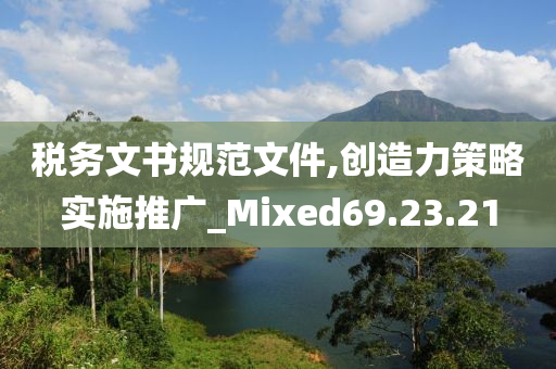 税务文书规范文件,创造力策略实施推广_Mixed69.23.21