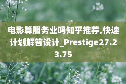 电影算服务业吗知乎推荐,快速计划解答设计_Prestige27.23.75