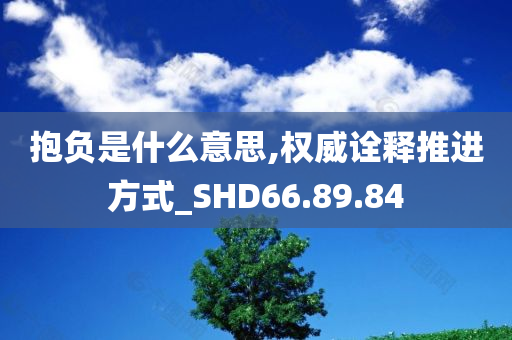 抱负是什么意思,权威诠释推进方式_SHD66.89.84