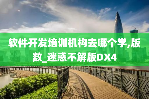 软件开发培训机构去哪个学,版数_迷惑不解版DX4