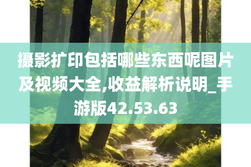 摄影扩印包括哪些东西呢图片及视频大全,收益解析说明_手游版42.53.63