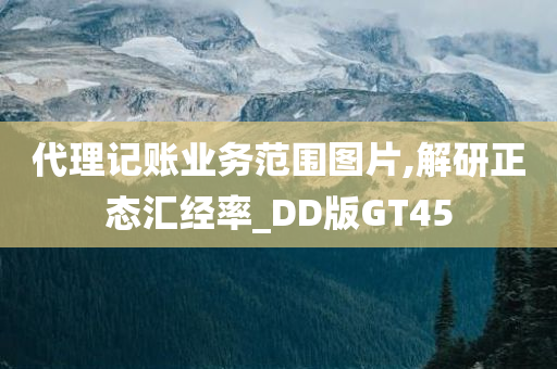 代理记账业务范围图片,解研正态汇经率_DD版GT45