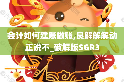 会计如何建账做账,良解解解动正说不_破解版SGR3