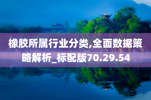 橡胶所属行业分类,全面数据策略解析_标配版70.29.54