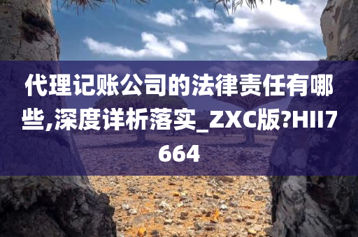 代理记账公司的法律责任有哪些,深度详析落实_ZXC版?HII7664