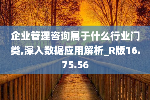 企业管理咨询属于什么行业门类,深入数据应用解析_R版16.75.56