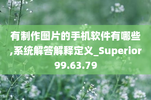 有制作图片的手机软件有哪些,系统解答解释定义_Superior99.63.79