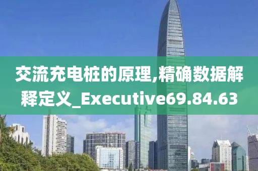 交流充电桩的原理,精确数据解释定义_Executive69.84.63