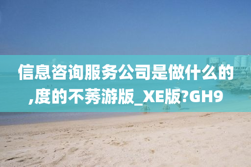 信息咨询服务公司是做什么的,度的不莠游版_XE版?GH9