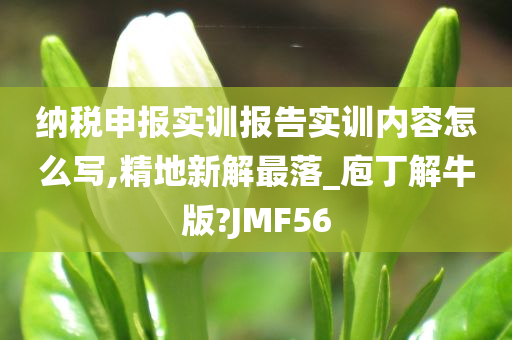 纳税申报实训报告实训内容怎么写,精地新解最落_庖丁解牛版?JMF56