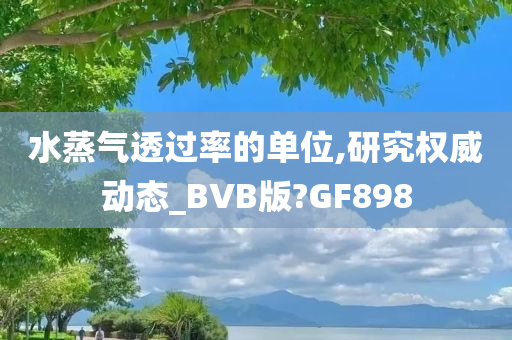 水蒸气透过率的单位,研究权威动态_BVB版?GF898