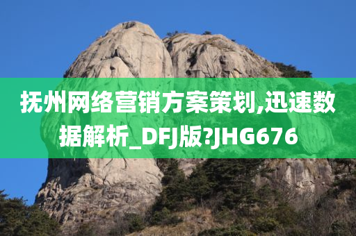 抚州网络营销方案策划,迅速数据解析_DFJ版?JHG676