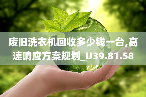 废旧洗衣机回收多少钱一台,高速响应方案规划_U39.81.58