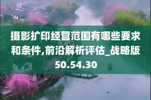 摄影扩印经营范围有哪些要求和条件,前沿解析评估_战略版50.54.30