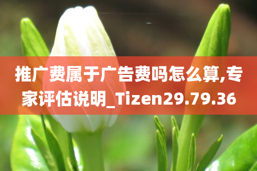 推广费属于广告费吗怎么算,专家评估说明_Tizen29.79.36