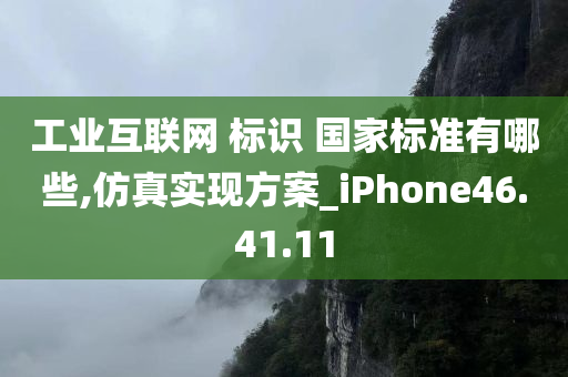 工业互联网 标识 国家标准有哪些,仿真实现方案_iPhone46.41.11