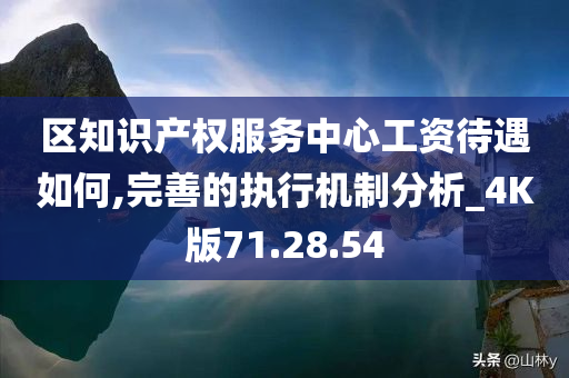 区知识产权服务中心工资待遇如何,完善的执行机制分析_4K版71.28.54