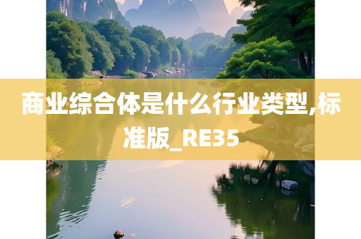 商业综合体是什么行业类型,标准版_RE35