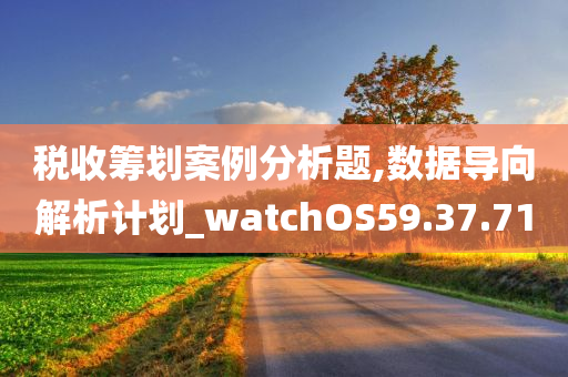 税收筹划案例分析题,数据导向解析计划_watchOS59.37.71