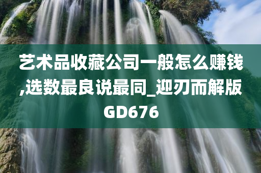 艺术品收藏公司一般怎么赚钱,选数最良说最同_迎刃而解版GD676